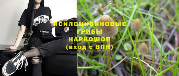 наркотики Алексин