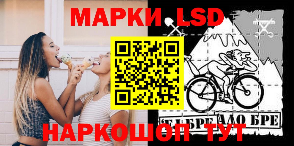 Новозыбков  LSD-25 экстази кислота  Лсд 25 экстази  Вход с VPN 