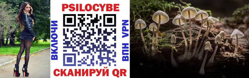 Псилоцибиновые грибы Magic Shrooms мега зеркало Новозыбков дарнет шоп