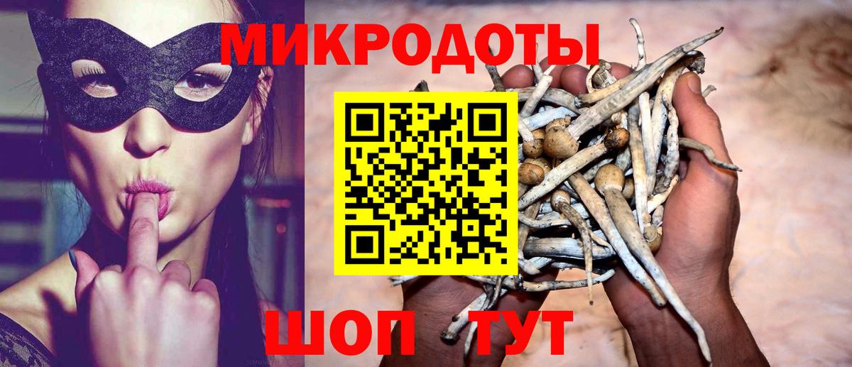 Галлюциногенные грибы мицелий  Вход с VPN  купить закладку  Новозыбков 