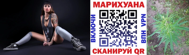 где продают наркотики  Новозыбков  МАРИХУАНА White Widow 